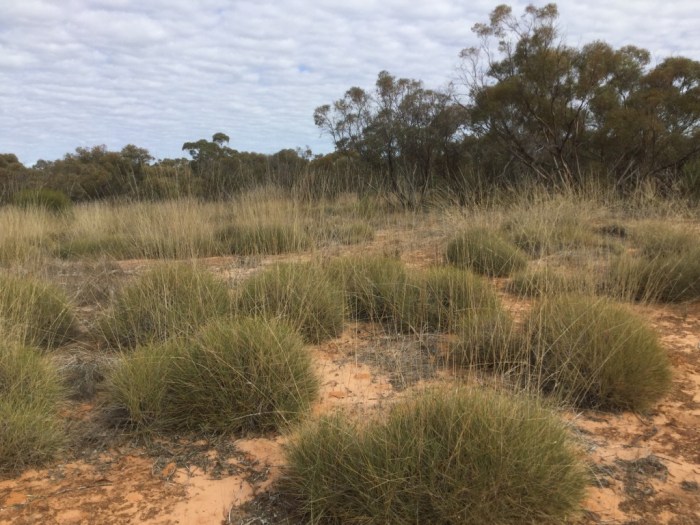 UNADJUSTEDNONRAW_thumb_122f5