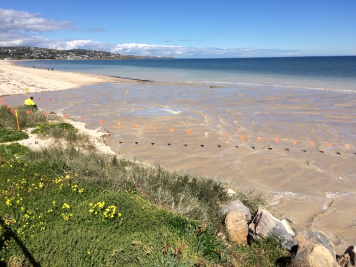 UNADJUSTEDNONRAW_thumb_124e2