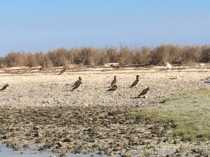 432E88D4-621A-4572-9406-CEDA4E584772