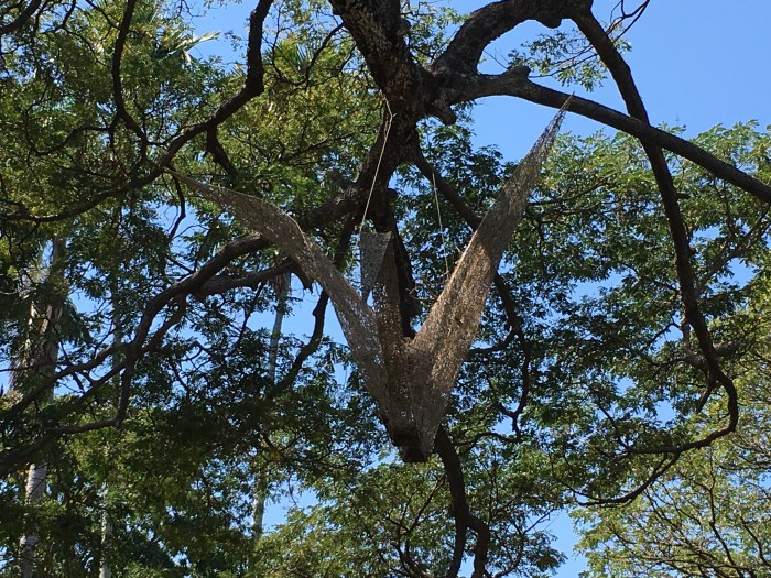 BDCD81E6-5F39-4377-9F5E-5090BF641039