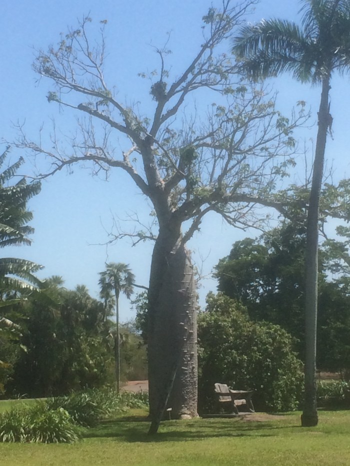 D1377579-03ED-45D5-930D-50763719AFCB