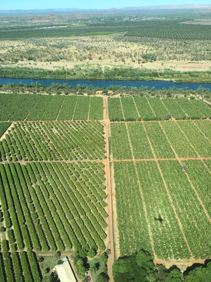 F1F94B20-0974-487D-A231-97BD0F1EC7A9